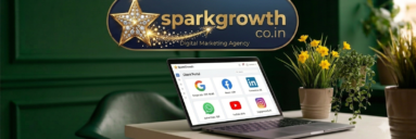 sparkgrowthco.in